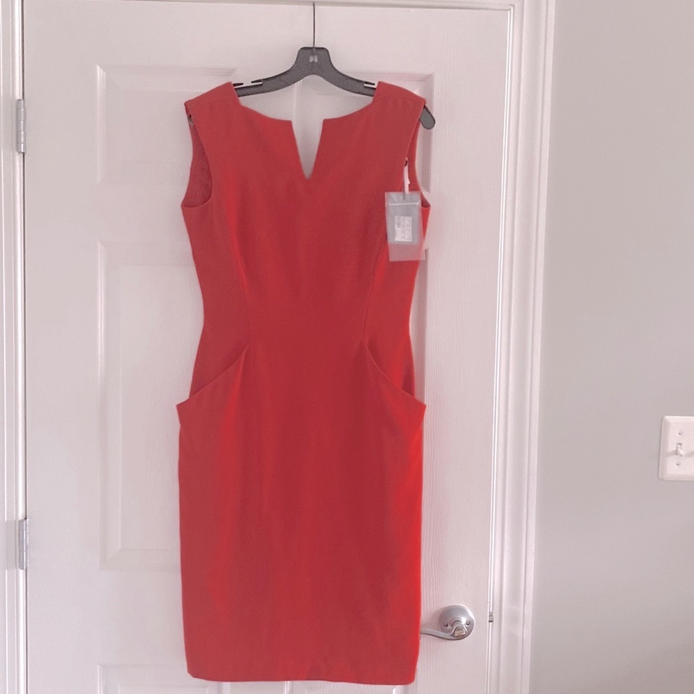 New Alexander McQueen Dress